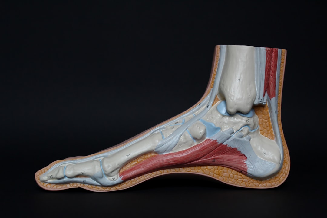 Photo tendon and ligament health