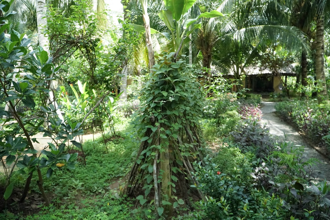 Photo naturist treatment