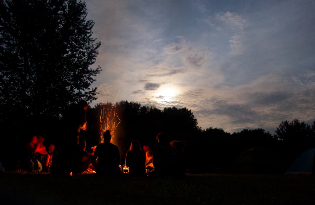 Photo organize a perfect evening with friends watching the stages of fire