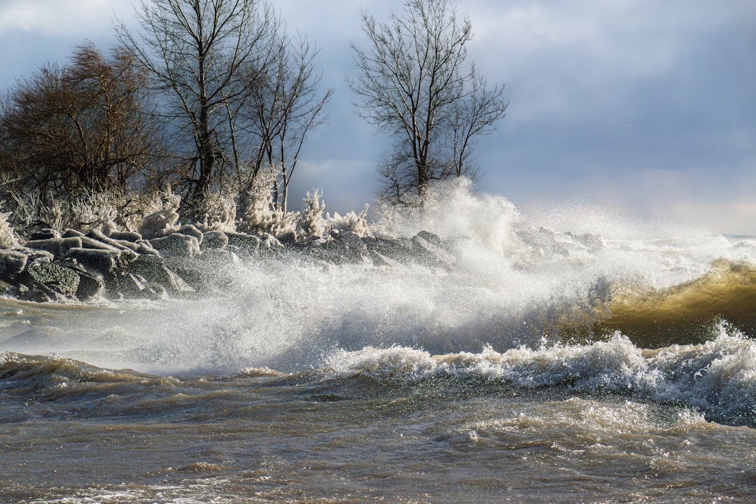 Photo slăbire rapidă