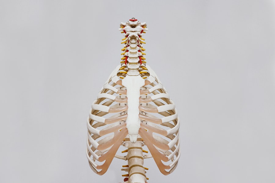 Photo health and spine