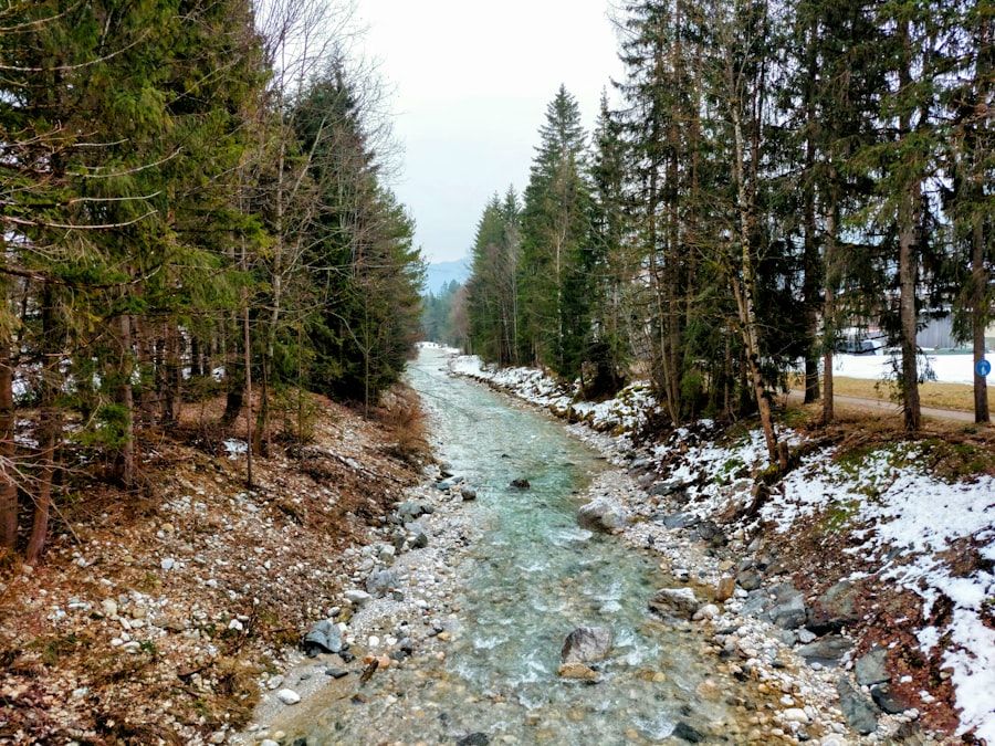 slăbire rapidă
